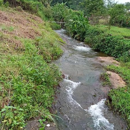 Farmstay In ചില്ലുകൂടാരം At Les Domki Et Al. Vagamon Exterior foto