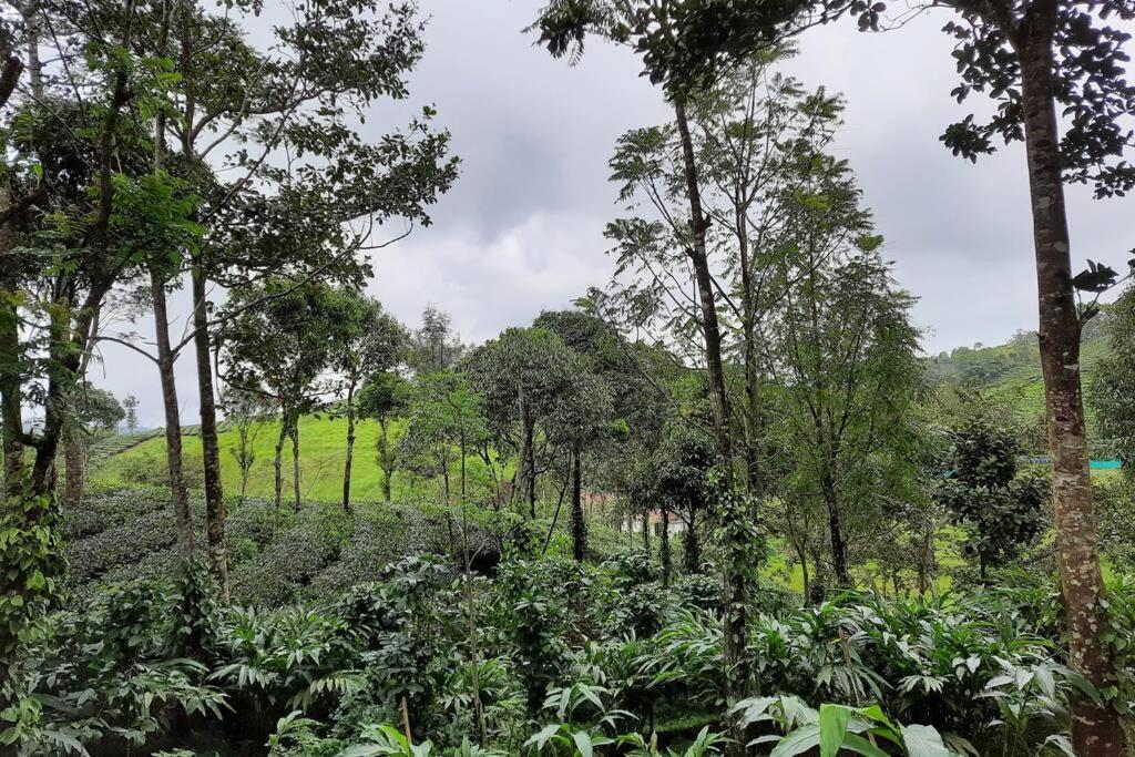 Farmstay In ചില്ലുകൂടാരം At Les Domki Et Al. Vagamon Exterior foto