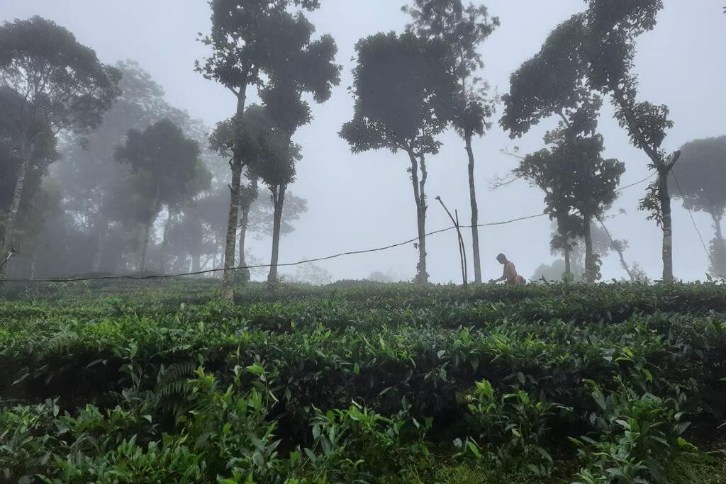 Farmstay In ചില്ലുകൂടാരം At Les Domki Et Al. Vagamon Exterior foto